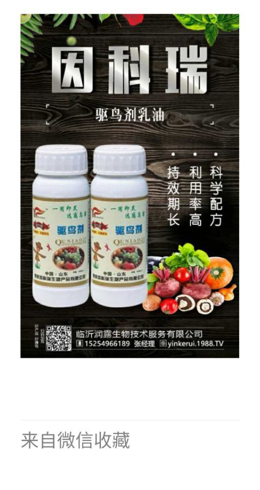 QQ图片20201021100315.jpg