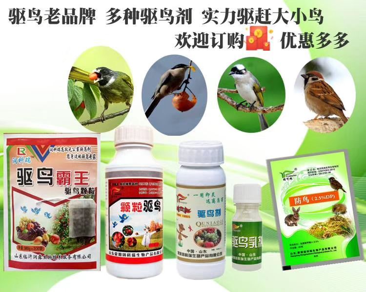 QQ图片20201021100320.jpg