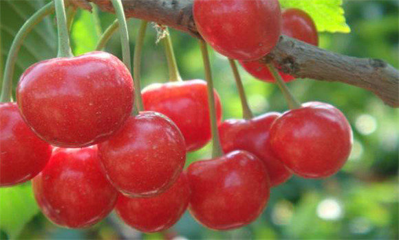 1617083926584.png 图片1.png